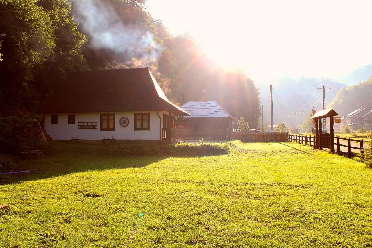 Casuta Din Valea Regilor Gradistea de Munte Exterior foto