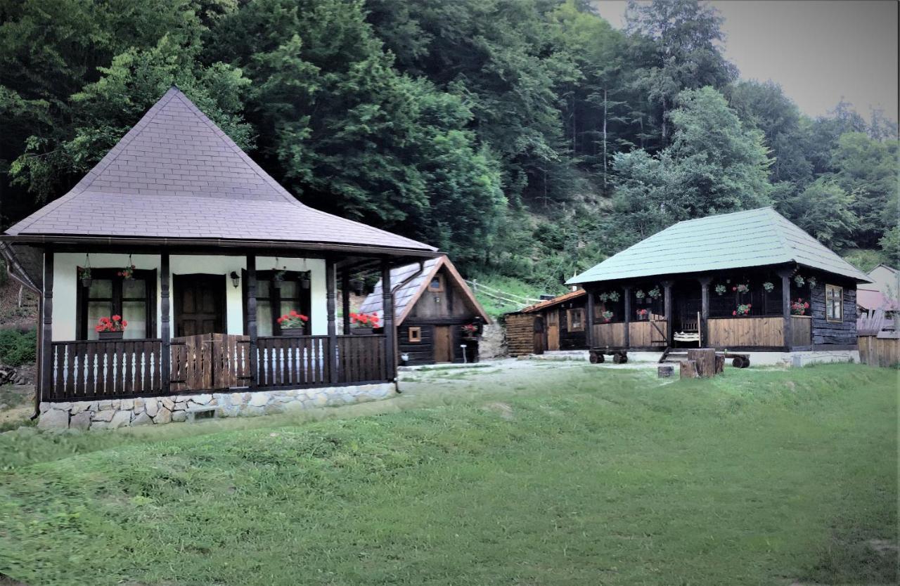 Casuta Din Valea Regilor Gradistea de Munte Exterior foto