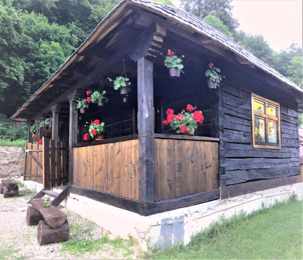 Casuta Din Valea Regilor Gradistea de Munte Exterior foto