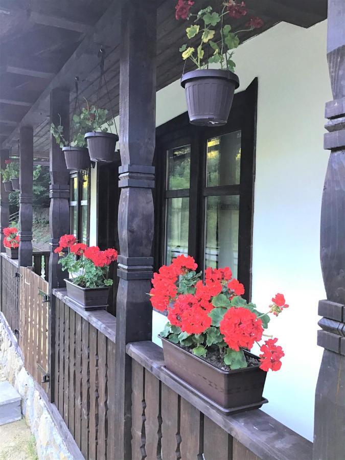 Casuta Din Valea Regilor Gradistea de Munte Exterior foto