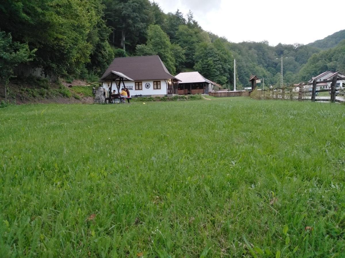 Casuta Din Valea Regilor Gradistea de Munte Exterior foto