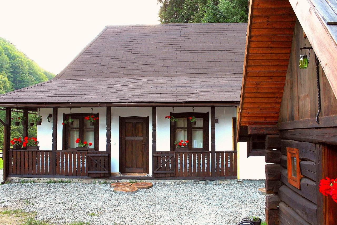 Casuta Din Valea Regilor Gradistea de Munte Exterior foto