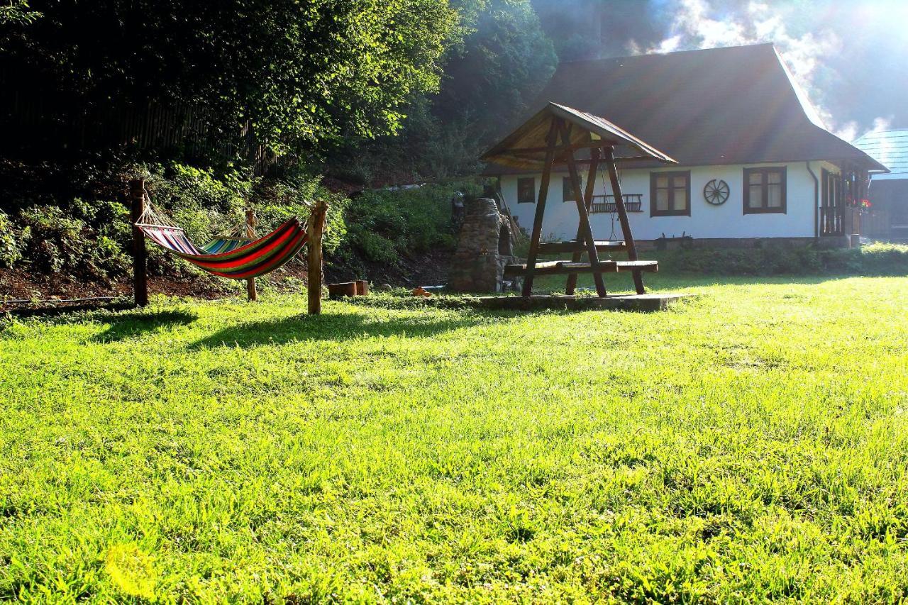Casuta Din Valea Regilor Gradistea de Munte Exterior foto
