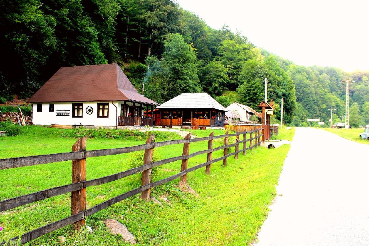 Casuta Din Valea Regilor Gradistea de Munte Exterior foto