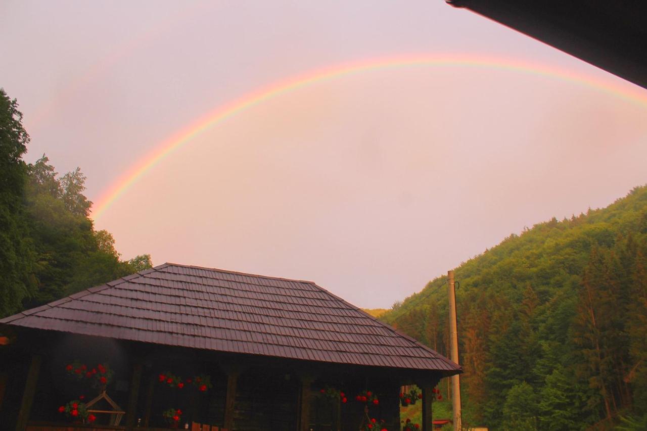 Casuta Din Valea Regilor Gradistea de Munte Exterior foto