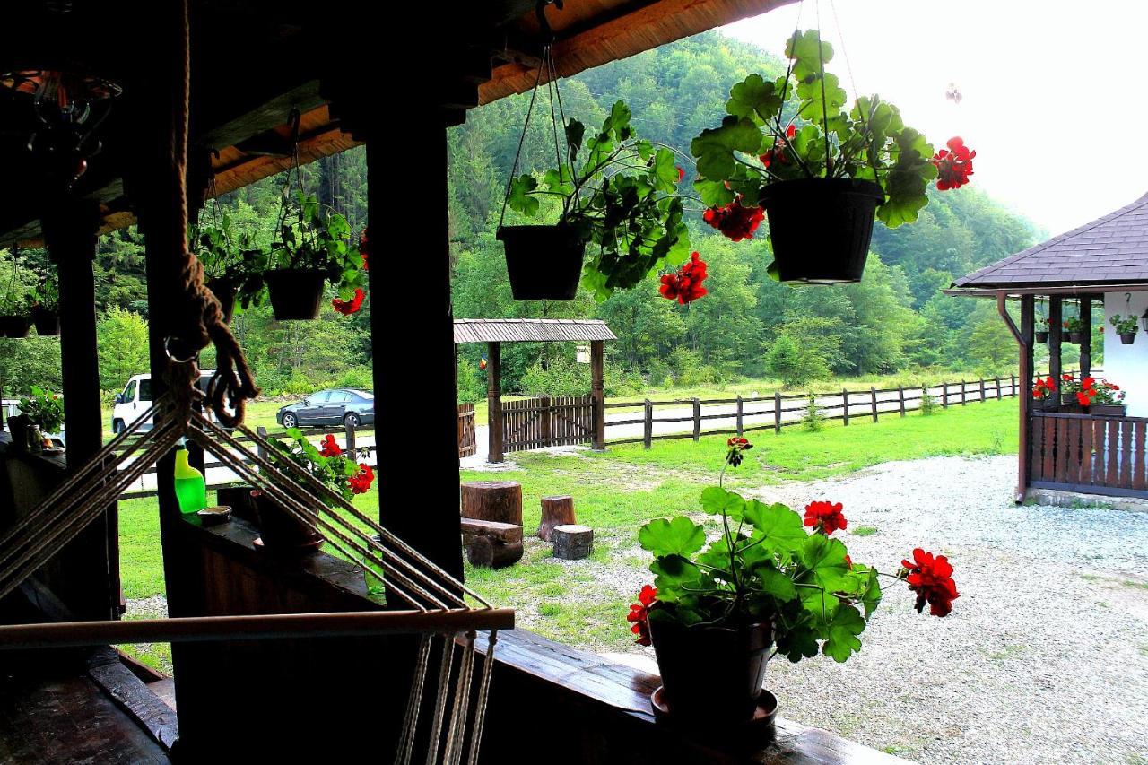 Casuta Din Valea Regilor Gradistea de Munte Exterior foto