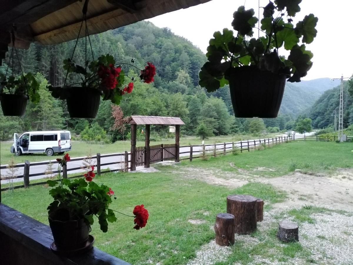 Casuta Din Valea Regilor Gradistea de Munte Exterior foto