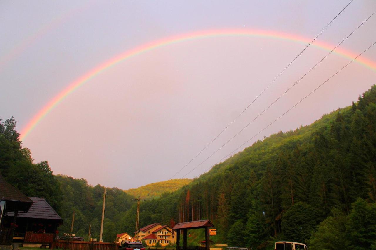 Casuta Din Valea Regilor Gradistea de Munte Exterior foto