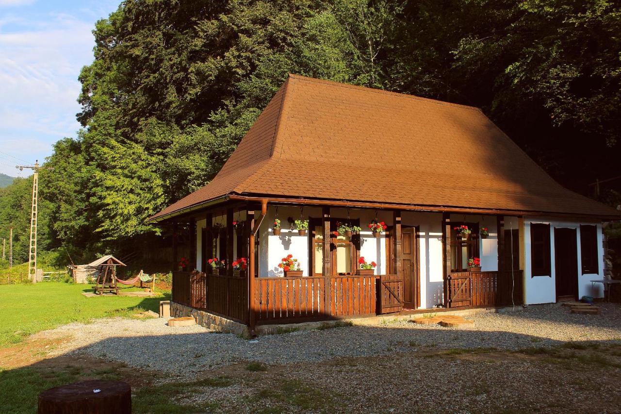Casuta Din Valea Regilor Gradistea de Munte Exterior foto