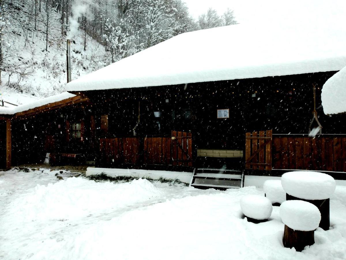 Casuta Din Valea Regilor Gradistea de Munte Exterior foto