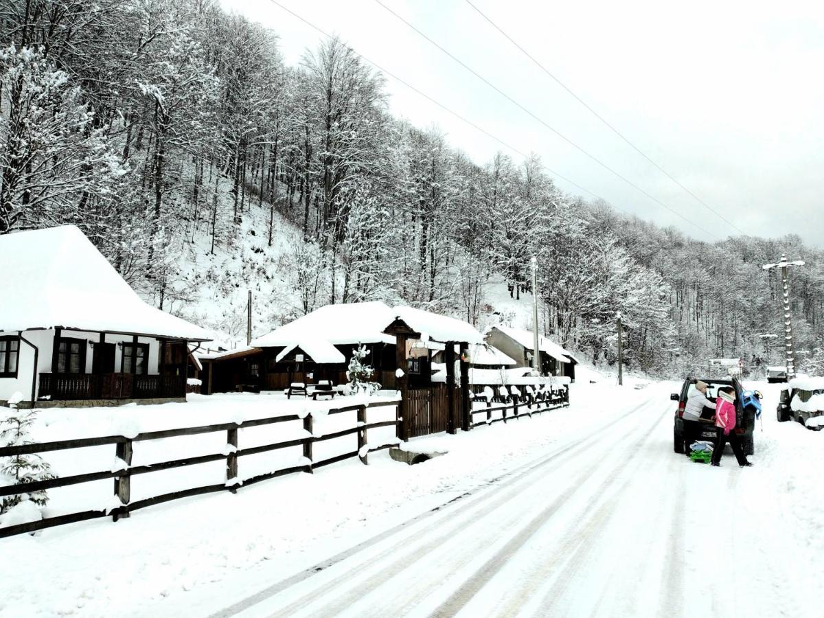 Casuta Din Valea Regilor Gradistea de Munte Exterior foto