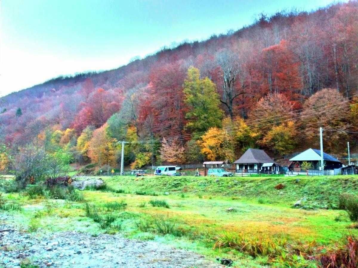 Casuta Din Valea Regilor Gradistea de Munte Exterior foto