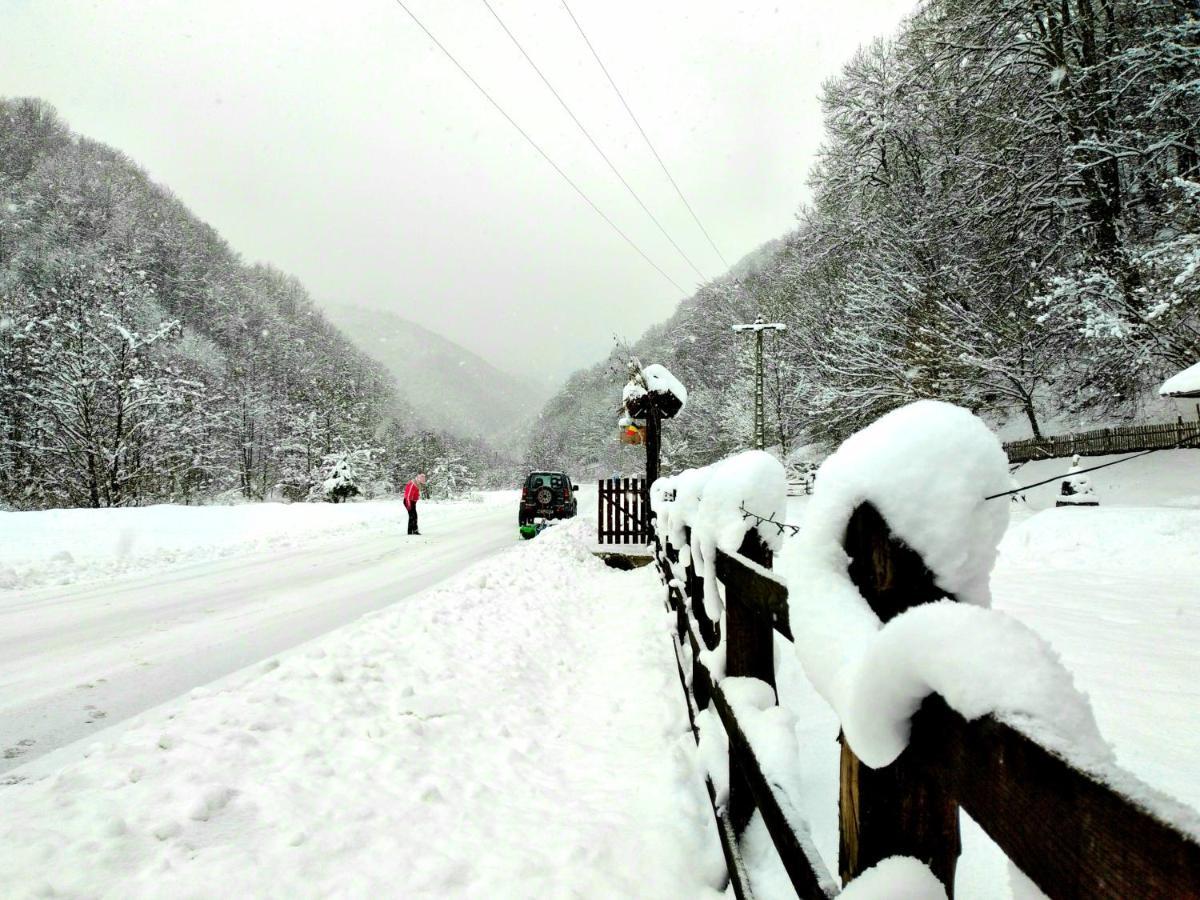 Casuta Din Valea Regilor Gradistea de Munte Exterior foto