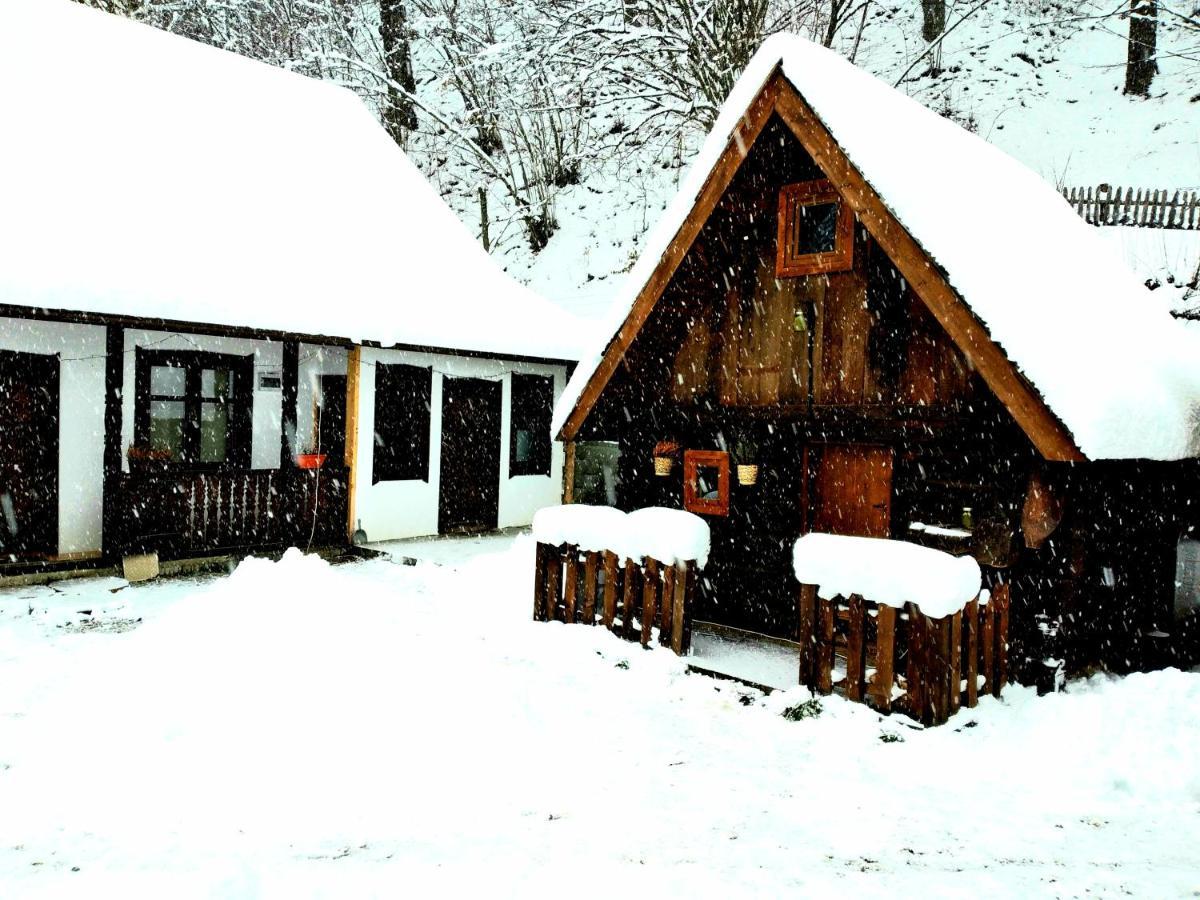 Casuta Din Valea Regilor Gradistea de Munte Exterior foto