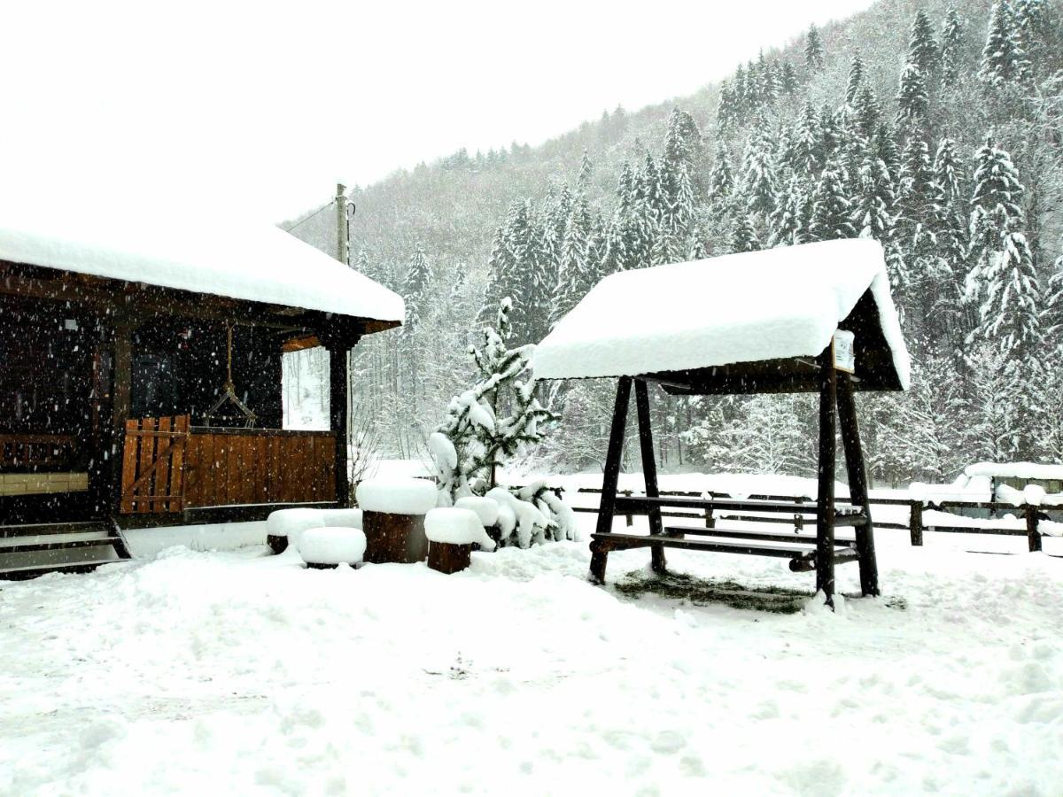 Casuta Din Valea Regilor Gradistea de Munte Exterior foto