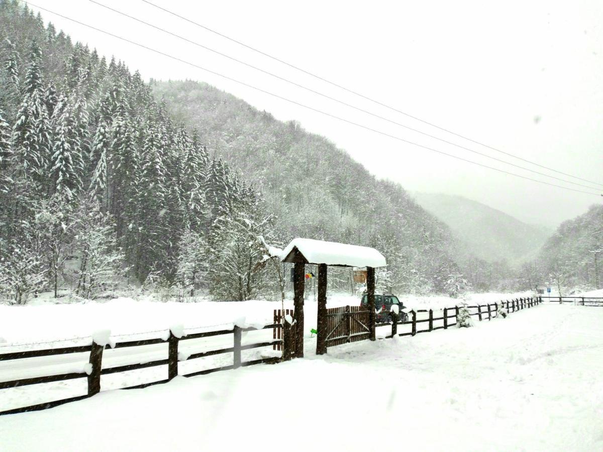 Casuta Din Valea Regilor Gradistea de Munte Exterior foto