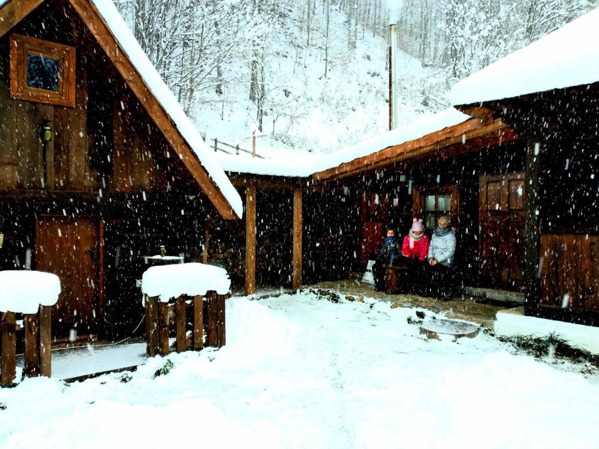Casuta Din Valea Regilor Gradistea de Munte Exterior foto
