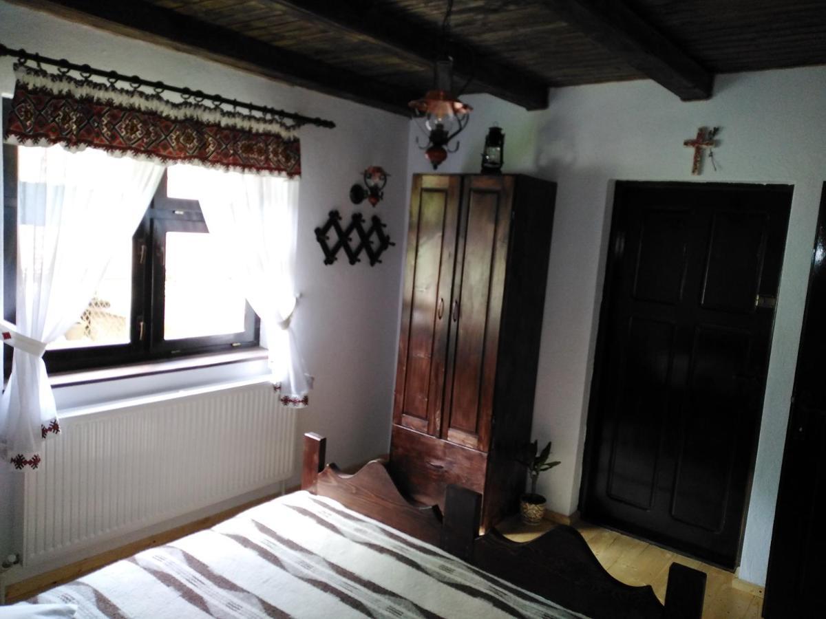Casuta Din Valea Regilor Gradistea de Munte Exterior foto