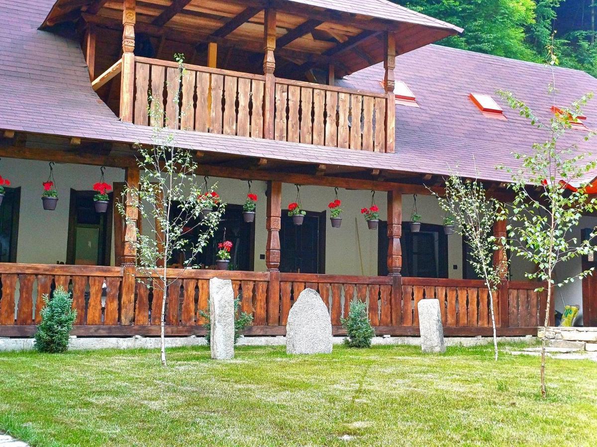 Casuta Din Valea Regilor Gradistea de Munte Exterior foto