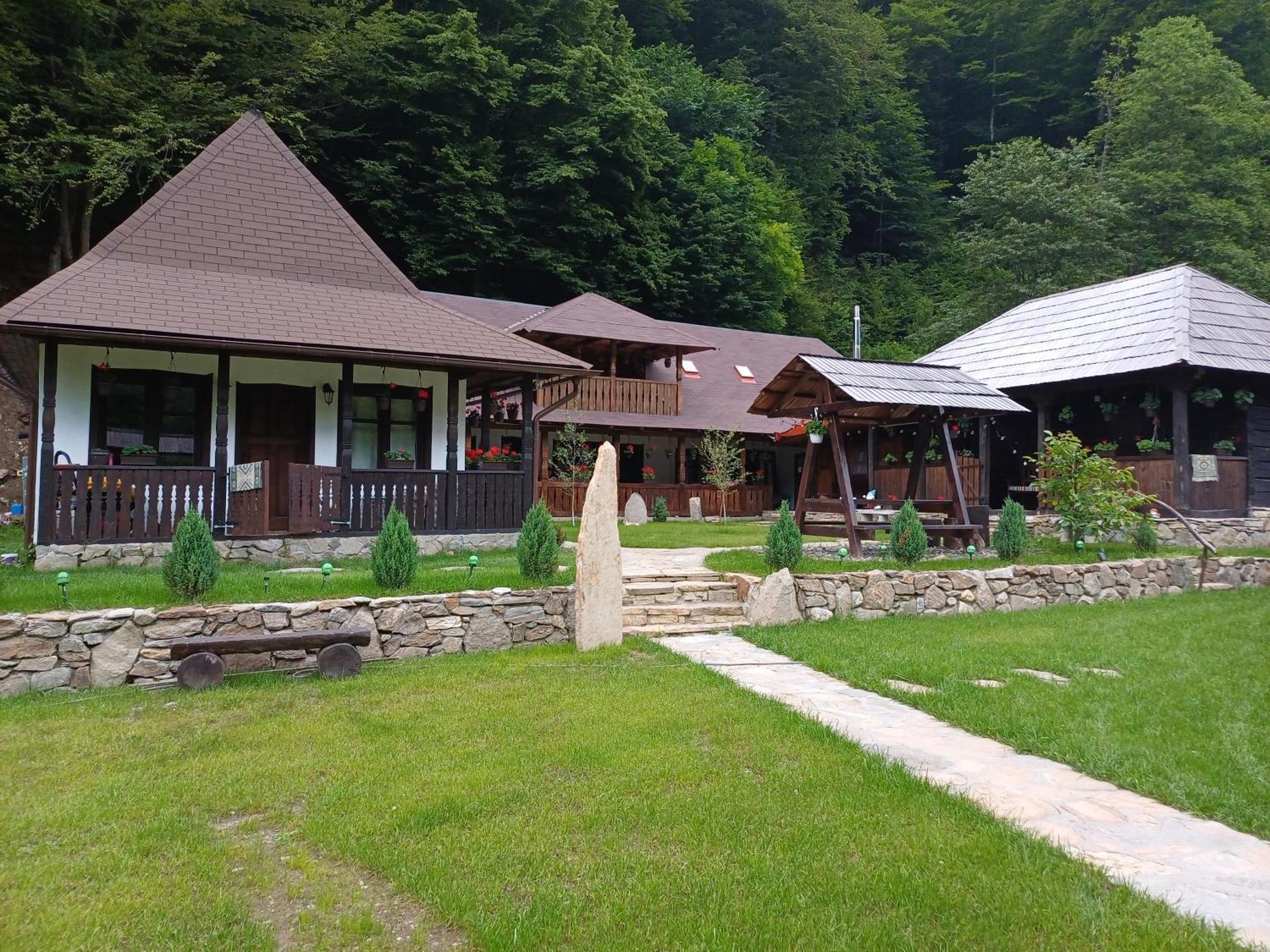 Casuta Din Valea Regilor Gradistea de Munte Exterior foto
